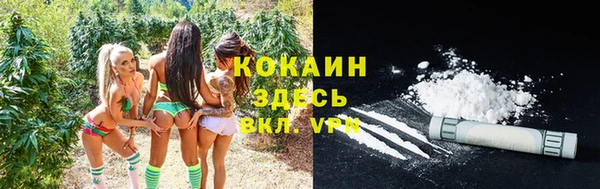 молекула духа Армянск